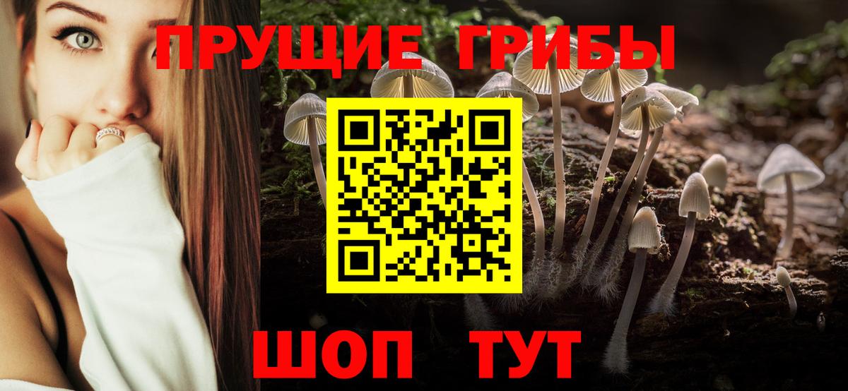 Тында  Псилоцибиновые грибы MAGIC MUSHROOMS  Вход с VPN 